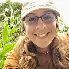 Groundcover recommendations for Boston area with wetlands