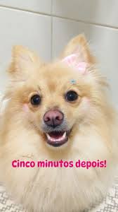 E era uma vez laços, bandana e make…