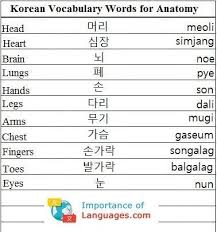 Just like in the english alphabet the korean has both vowels and consonants, and every complete symbol equals a single syllable. Learn Basic Korean Language Learn Korean Language Guide Korean Language Learning Korean Language Korean Words Learning