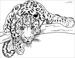 Clouded leopard standing on tree. Leopard Coloring Pages Free Coloringbay