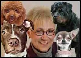 $7.5 million award for mauling by pit bull rehomed from L.A. Animal  Services