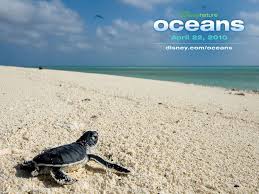 We did not find results for: Baby Sea Turtle Disneynature Oceans Wallpaper 26986450 Fanpop