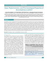 Image result for Scorodophloeus