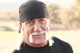 Football Al Hogan How Kiwi Billionaire Peter Thiel Bankrolled Hulk Hogan's  Lawsuit
