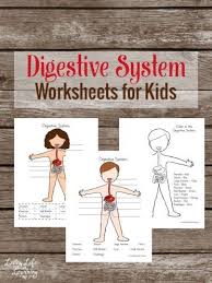 Digestive system anatomy and physiology picture sketch coloring. Pin On Human Anatomy