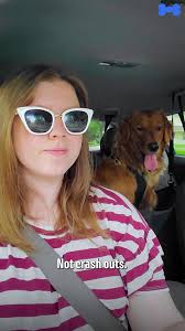 🐶 Why do dogs crash after snack time?, Because most treats are nothing but  empty calories. Quick sugar highs → fast energy crashes. 😴, But it does  not have to be that way. With spinach + blueberries, ...