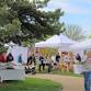 Waverly Art Walk