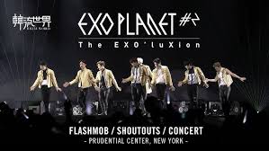 Image result for Exochaenium