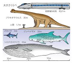 日本海事広報協会