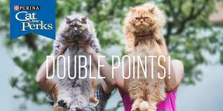 Join myperks to collect points and earn coupons and free merchandise from purina & cat chow. Purina Cat Chow On Twitter Some Things Are Better Double Espresso Entendres Perks Points Get Double Points When You Enter Proof Of Purchase For Any Naturals Bag Https T Co Pcjz41nazg