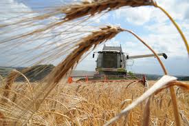 Gibt es da irgendwelche ungefairen bzw. Landwirte Im Erntefieber Gerste Ist Das Erste Velbert