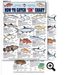 How To Catch Em Saltwater Chart 1 Barracuda Permit Tarpon