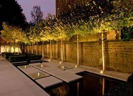 Uplighting Modern Landscape Lighting Modern Landscaping Landscape Lighting