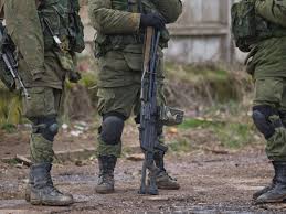 Insight: Political Junkie Goes West  Ukraine Vote  Art and the  Environment  Celtic Music of Stepping Stone - capradio.org
