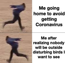 Twenty Nine Birding Memes For A Very Specific Kind Of Person Relatable Meme Animal Crossing Memes Popular Memes