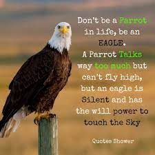 Pin On Quotes