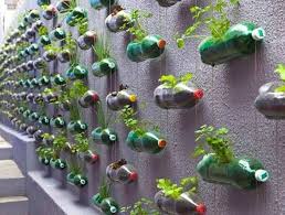 Inspiration For Your Guerilla Gardening In Phuket Thailand Bottle Garden Vertical Garden Urban Garden
