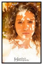 Armfield Photography