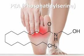 Pin On Medizin