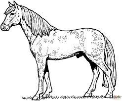 Each printable highlights a word that starts. Printable Color Pages Of Horses Activity Shelter