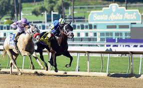 The Top 10 Horse Racing Tracks In The World And Why Recent Equine Deaths At Santa Anita Is Business As Usual