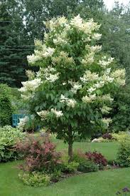 There is a choice of 4 different heights; Welcome To Landscape Depot Landscape Depot