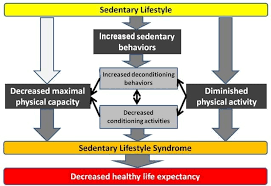 With many sizes, styles and price points, your lifestyle will be a big determiner for the type of camper that's right for you. How To Fit Exercise In A Sedentary Lifestyle Zigazoga