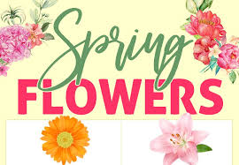 Check spelling or type a new query. Beauty Love Hope More Spring Flower Meanings