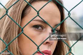 Head Of Dog Behind Fence High-Res Stock Photo