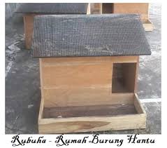 Berikut adalah cara memelihara burung hantu jenis celepuk. Model Kandang Burung Hantu Tentang Kolam Kandang Ternak