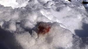 He fell and hit his head on a rock. Witness Says He Inadvertently Filmed Schumacher S Accident