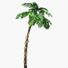 Amazon Com Lightshare Jt Dc240v0250 C 7feet Lighted Palm Tree Large Zls7ft 7 Feet Multicolor Garden Outdoor