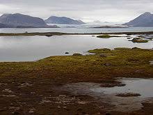 Hanya sebagian kecil warga rusia tinggal di atas permukaan beku, namun kawasan ini menampung sebagian besar sumber daya alam negara tersebut: Tundra Wikipedia Bahasa Melayu Ensiklopedia Bebas