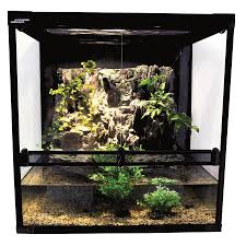 Making an aqua terrarium with a waterfalls. Lucky Reptile Aqua Tarrium Ceres Webshop