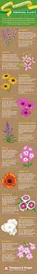Plant perennial flowers that bloom from spring to fall, and you'll have a gorgeous display of blooms throughout the best months of the year. Top Of The Perennials The 10 Best Perennials Infographic Perennial Plants Low Maintenance Garden Plants Easy Perennials