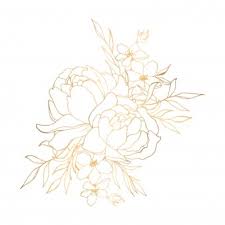 Key details • 100% organic cotton percale. Hand Drawn Flowers Images Free Vectors Stock Photos Psd