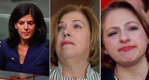 Why more Liberal Party women don't speak out against the LNP's sexism