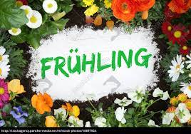 Nach dieser behandlung sieht der rasen zwar erstmal recht mitgenommen aus. Fruhling Fruhjahr Mit Blumen Blume Lizenzfreies Foto 16697924 Bildagentur Panthermedia