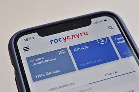 Единая система идентификации и аутентификации. Otslezhivat Status Doplat Medrabotnikam Za Rabotu S Koronavirusnymi Bolnymi Budut Cherez Gosuslugi Parlamentskaya Gazeta