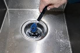 People love garbage disposal for the value it adds to the kitchen. How To Deep Clean Your Garbage Disposal Everyday Cheapskate