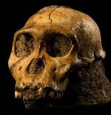 Daniel buzdugan a trecut prin clipe de mare încercare la începutul acestui an, după ce a vizitat mormântul părintelui arsenie boca. Ce Sunt Fosilele Teoria EvoluÈ›iei