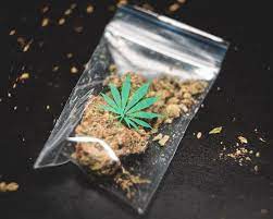 The Latest On The Legality Of CBD Flower In The UK -