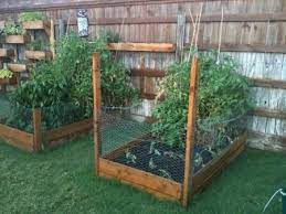 How to keep animals out of herb garden. Cedar Boxes Cedar Raised Garden Beds Cedar Raised Garden Easy Backyard
