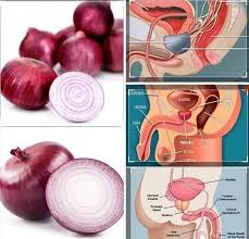 Découvrez 5 remèdes de grand-mère pour soulager naturellement les problèmes  de prostate ! 🌿