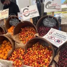 We did not find results for: Rainier Cherries Information Recipes And Facts