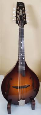 Maybe you would like to learn more about one of these? A5ae Stage Mandolin Zeta Violins Electric Violins Cello Bass Zeta Mandolins Pickups Repairs