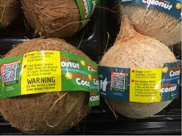 Coconut Water From White Vs Brown Coconuts Seasoned Advice