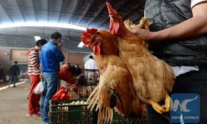 The man, from zhenjiang, was hospitalized on april 28 after developing a fever and other symptoms. Xzhw K5ic3dz3m