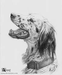 Black And White English Setter Dog English Setter By Azany On Deviantart English Setter Dogs Dog Sketch English Setter