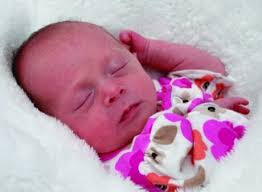 span>Births/Adoptions</span>